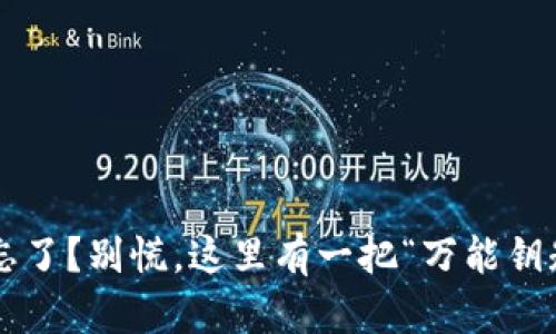 TP钱包交易密码忘了？别慌，这里有一把“万能钥匙”教你如何找回!