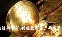区块链的金矿：挖掘数字