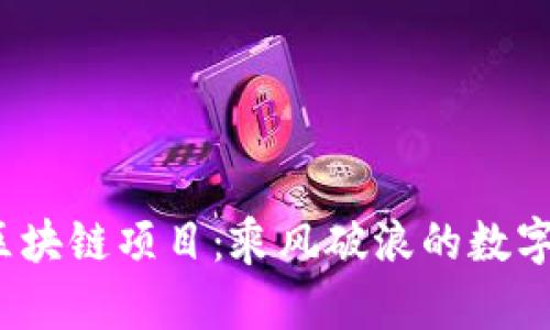 ## BSGT区块链项目:乘风破浪的数字经济航海者