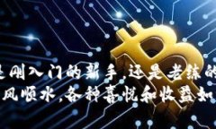   轻松驾驭FIL币，盘点转入