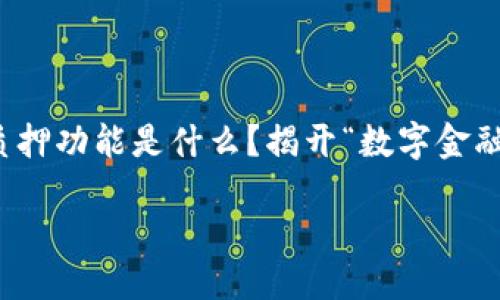 区块链节点质押功能是什么？揭开“数字金融”的神秘面纱

briaoti