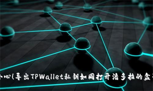 小心！导出TPWallet私钥如同打开潘多拉的盒子