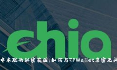 中本聪的秘密花园：如何