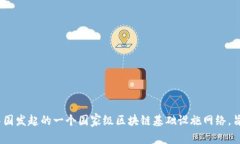 区块链服务网络的缩写是
