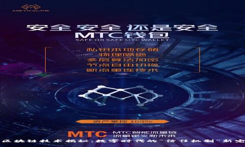 区块链技术揭秘：数字时代的“信任机制”新宠