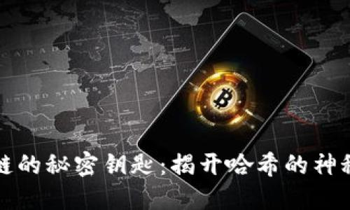 区块链的秘密钥匙：揭开哈希的神秘面纱