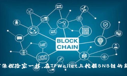 如何像探险家一样，在TPWallet上挖掘BNB链的新币？