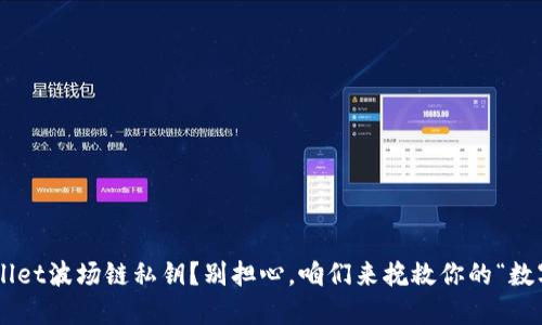 忘记了TPWallet波场链私钥？别担心，咱们来挽救你的“数字记忆丢失”！