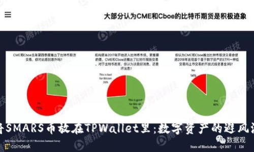 将SMARS币放在TPWallet里：数字资产的避风港