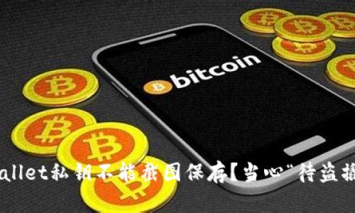 为什么TPWallet私钥不能截图保存？当心“待盗撬的藏宝箱”！