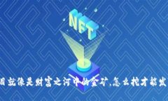 区块链赚钱的项目就像是
