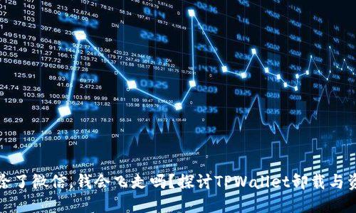 就像删除了微信，钱会飞走吗？探讨TPWallet卸载与资金安全