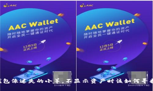 当你的TP钱包像迷失的小羊，不显示资产时该如何寻找回家的路？
