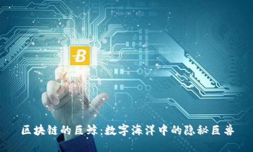 区块链的巨鲸：数字海洋中的隐秘巨兽