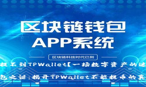 为什么提不到TPWallet？一场数字资产的迷雾之旅

数字钱包之谜：揭开TPWallet不能提币的真相！