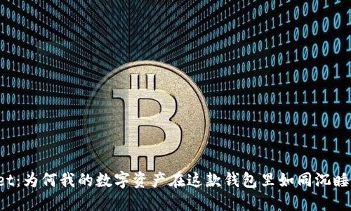 TPWallet：为何我的数字资产在这款钱包里如同沉睡的巨龙？