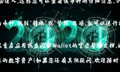 要查看您在TPWallet中的币，