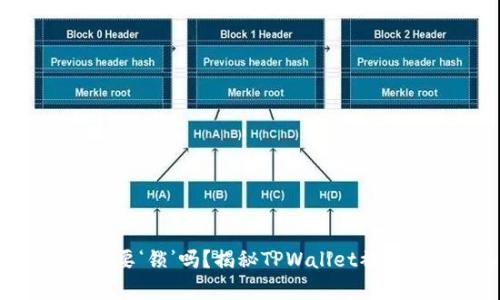 “数字钱包也需要‘锁’吗？揭秘TPWallet被盗背后的真相！”