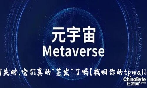 当钱包里的资产消失时，它们真的“蒸发”了吗？找回你的tpwallet资产的终极指南