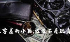 当TPWallet像一只害羞的小猫