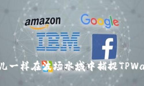 如何像鱼儿一样在波场水域中捕捉TPWallet代币？