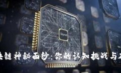 揭开区块链神秘面纱：你