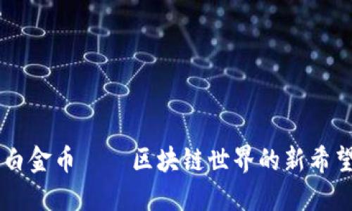 白金币——区块链世界的新希望