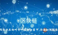 当钱包密码像秋天的叶子