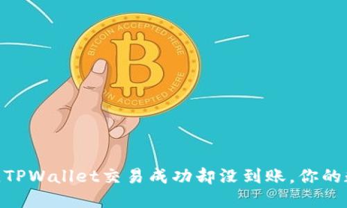 像发射火箭一样，TPWallet交易成功却没到账，你的数字资产去哪了？