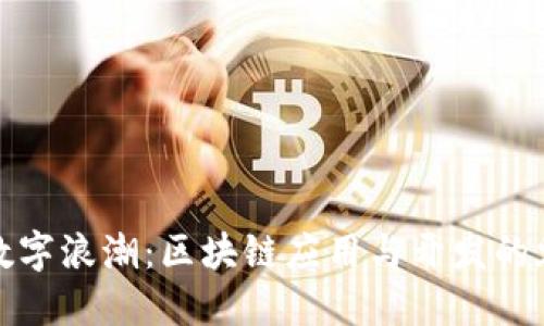 波动的数字浪潮：区块链应用与开发的魅力之旅