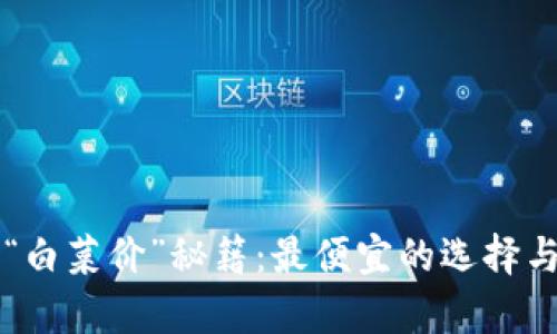 区块链的“白菜价”秘籍：最便宜的选择与深度解析