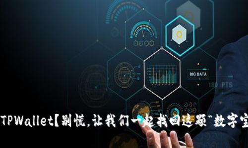 误删TPWallet？别慌，让我们一起找回这颗“数字宝石”！