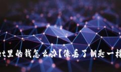 手机丢失了，TPWallet里的钱