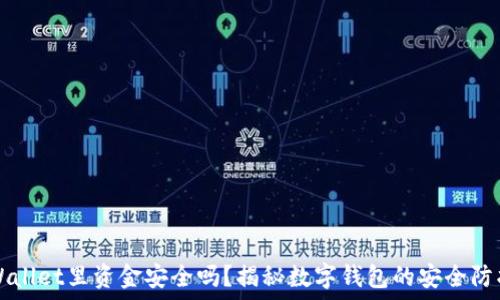   
TPWallet里资金安全吗？揭秘数字钱包的安全防护网