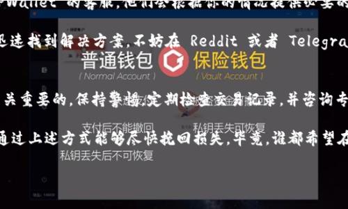 在使用TPWallet这样的数字钱包时，用户可能会遇到虚拟资产减少的情况，这通常会引发用户的疑问与焦虑。下面，我们将探讨这个问题的多种可能原因并提供一些解决方案。

常见原因分析
首先，想要理解 TPWallet 中币为何会减少，我们需要从几个常见原因入手：

1. **交易费用**：在进行转账或者交易时，TPWallet 会收取一定的交易费用。这些费用通常是以币种形式从你的余额中扣除的。换句话说，转账时你可能会忽略这些费用，让余额看似减少了。

2. **误操作**：可能有用户在不知情的情况下进行了一些交易，或者误操作了转账。因此，仔细查看交易记录，确认每一笔交易是一个必要的步骤。

3. **地址错误**：有时候，用户在进行转账时，可能因为输入错误的地址，导致币种转账失败或者永久丢失。在此，我想说：“谁还没点小烦恼呢？”所以，在进行任何交易前，务必要仔细核对地址。

4. **智能合约问题**：一些基于智能合约的币种可能会在某些情况下出现锁仓现象，或是某种条件未满足而导致无法提取。这种情况对普通用户而言可能不易察觉，但了解基础的合约操作是十分必要的。

如何查看余额变化？
为了确认你的余额变化，有几个步骤可以帮助你更清楚的了解情况：

1. **查看交易记录**：TPWallet 提供详细的交易记录，用户可以查看每个交易的时间、金额与状态，这样可以更好地追踪资产变动原因。

2. **确认接收地址**：在进行每一次转账前，仔细确认接收地址是否正确，或者对方是否真的收到了款项。《确认收款人就是对的》这条准则，可帮助你在未来避免不必要的麻烦。

如何恢复丢失的资产？
万一确认了你的资产确实丢失了，别慌张。在许多情况下，恢复途径是存在的：

1. **联系TPWallet客服**：如果发现资产丢失且无法追踪，第一时间联系 TPWallet 的客服，他们会根据你的情况提供必要的协助。

2. **相关社区求助**：在各大数字货币社区中，用户之间交流的经验往往能迅速找到解决方案。不妨在 Reddit 或者 Telegram 群组发问，看看其他用户的经验和建议。

总结与建议
在使用 TPWallet 进行数字资产管理时，了解潜在的风险以及如何应对是至关重要的。保持警惕，定期检查交易记录，并咨询专业人士，以确保你的资产安全无忧。

最后，希望大家在数字货币的世界中不走弯路，万一有不幸发生，也希望大家通过上述方式能够尽快挽回损失。毕竟，谁都希望在这条路上走得顺利和安心。

guajianciTPWallet,数字钱包,虚拟资产,交易记录/guanjianci
